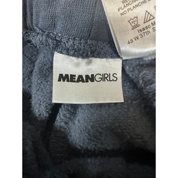 Mean Girls Distressed Gray Wash Joggers Pop Culture Y2K Movie Size Small - Picture 4 of 5